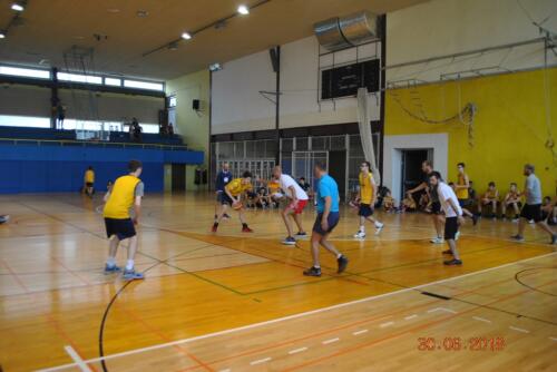 basketball-camp
