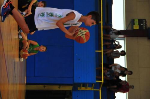 DSC 3899 (1)